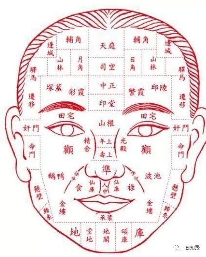 牛眼 面相|面相看眼睛教学：决定人生运势的眼型 （上篇）